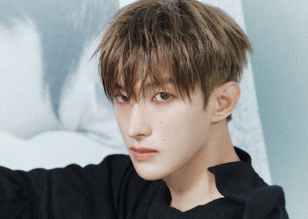 ▲ '방과후 태리쌤' OST 파트 5 '명장면'을 부른 세븐틴 도겸. 제공|플레디스엔터테인먼트