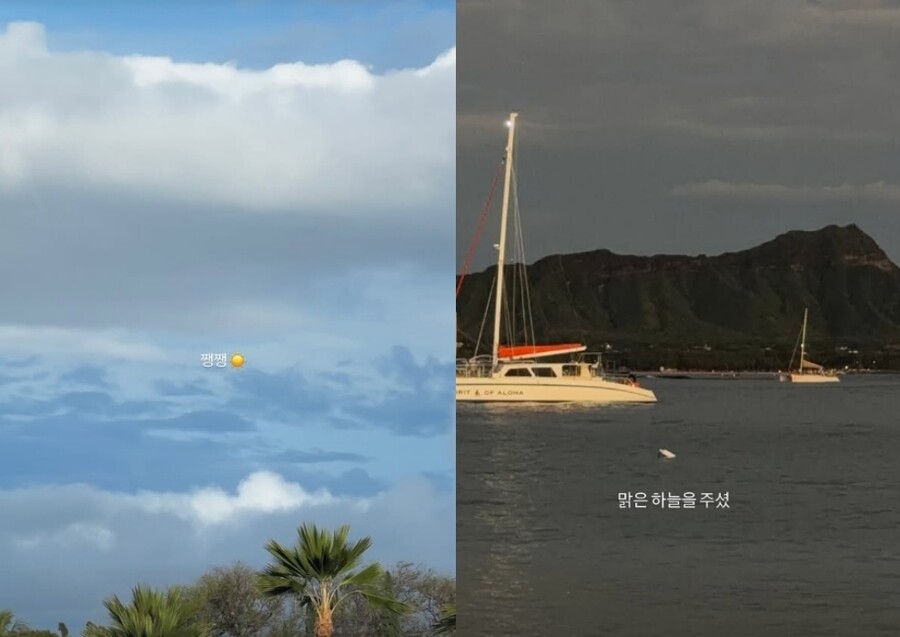 ▲  출처|차정원 인스타그램