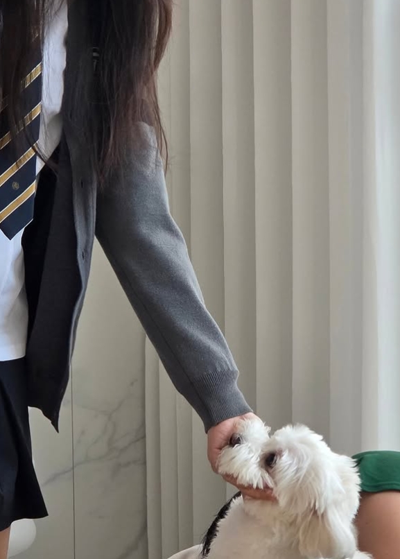 ▲  출처|최동석 인스타그램