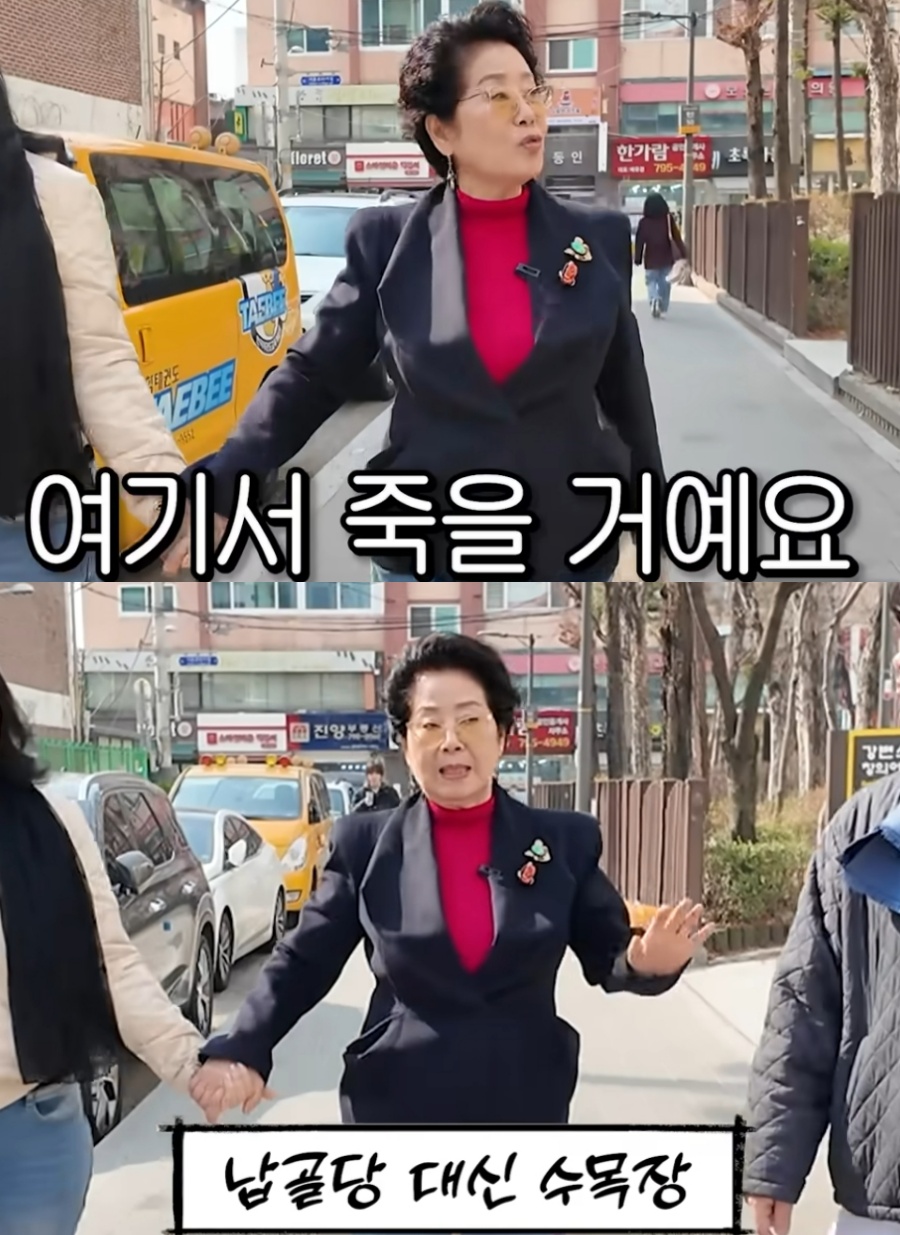 '82세' 선우용여 "이 동네에서 죽을 것" 깜짝 고백…"납골당 대신 수목장"