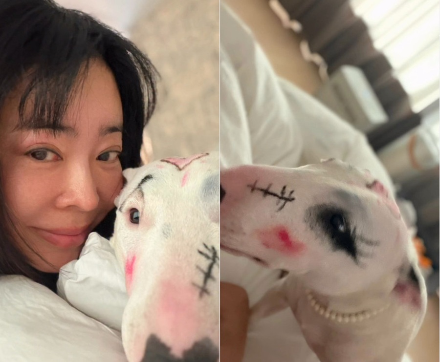 이혜영, 반려견 얼굴에 화장품 낙서라니…동물 학대 논란 