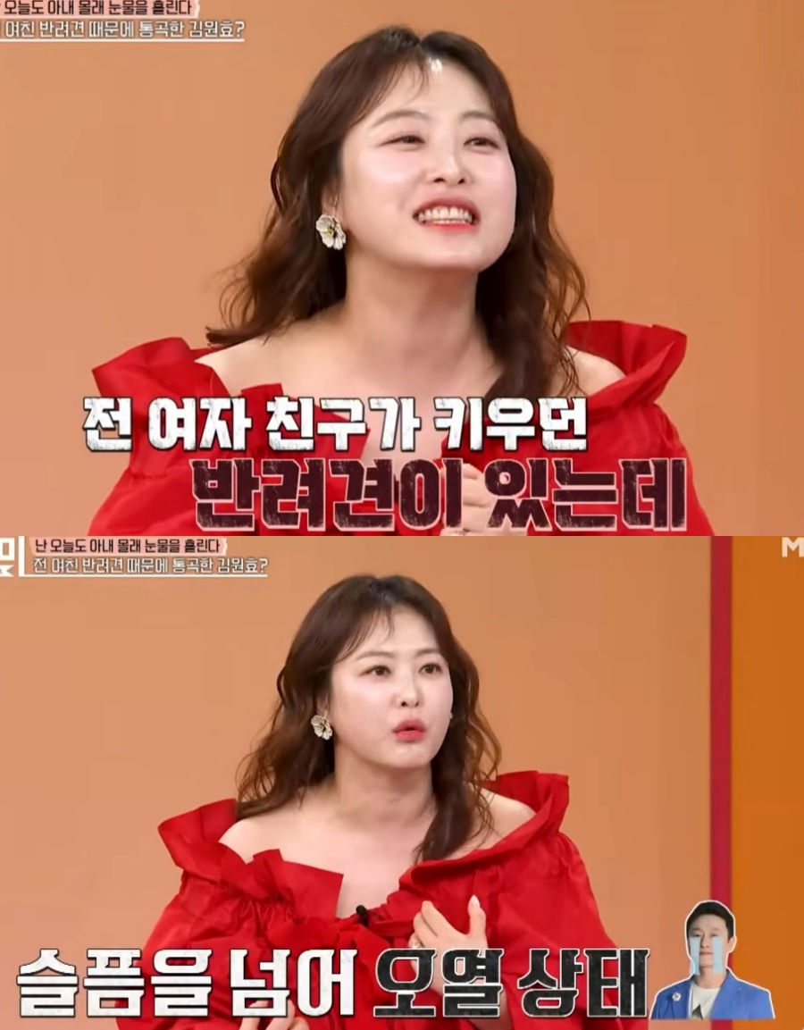 심진화 "♥김원효, 전여친 반려견 죽었다고 오열"('속풀이쇼 동치미')