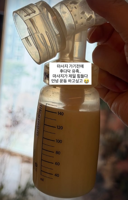 ▲  출처|야옹이 인스타그램