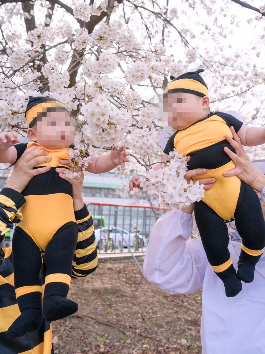 ▲ 임라라 손민수 부부가 쌍둥이 남매와 벚꽃 나들이를 즐겼다. 출처|엔조이커플 인스타그램