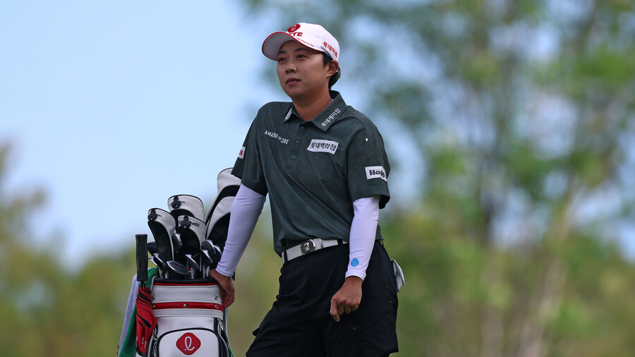 ▲  출처| LPGA
