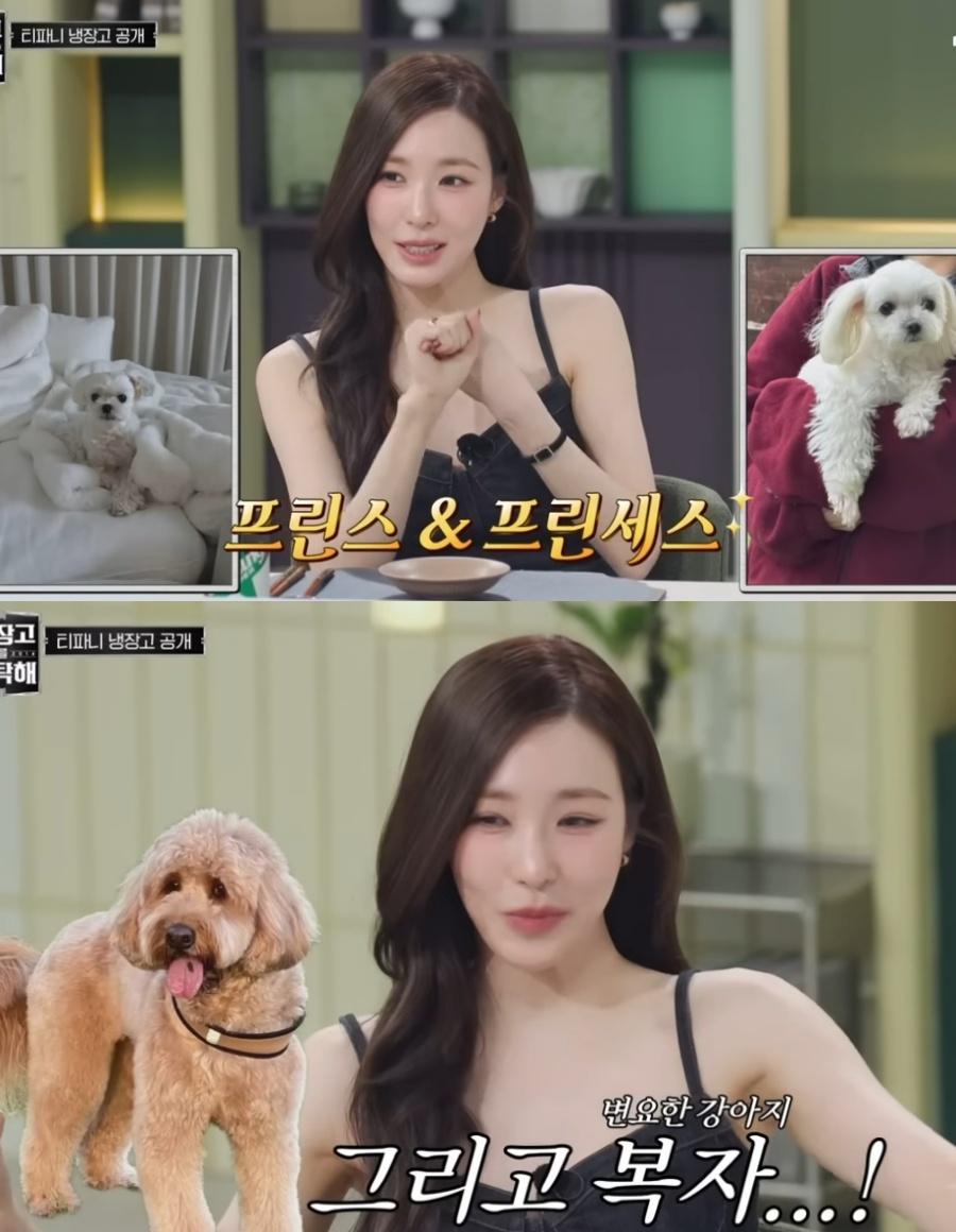 ▲ 티파니와 변요한 반려견의 이름의 상반된 분위기가 웃음을 자아냈다. 출처| JTBC 공식 유튜브 채널