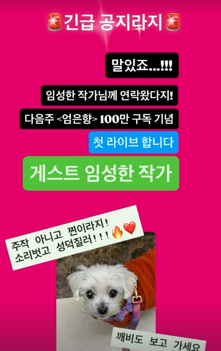 ▲ 출처|엄은향 인스타그램