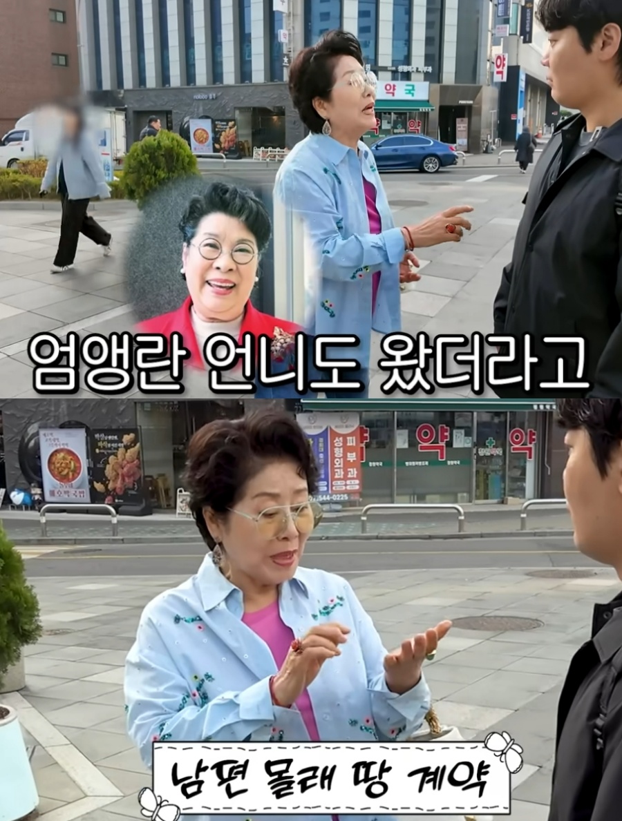 ▲ 선우용여가 과거 부동산 사기에 당할 뻔한 일화를 공개했다. 출처|유튜브 채널 '순풍 선우용여' 캡쳐