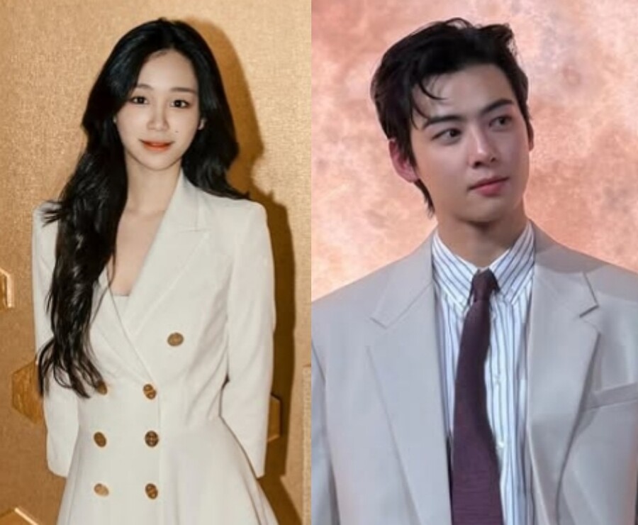 '대림 4세' 이주영, '200억 완납' 차은우에 '좋아요' 응원
