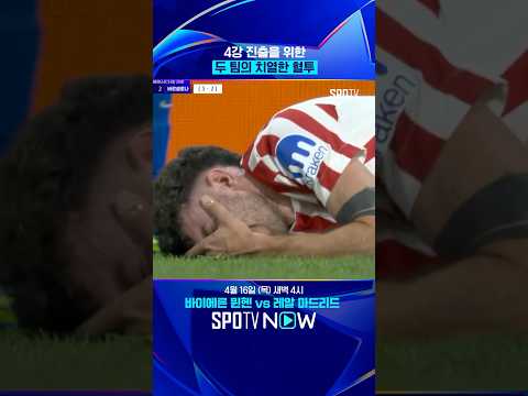 유혈사태까지 발생 ㄷㄷ #shorts
