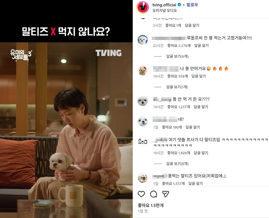 ▲ 출처|티빙 공식 인스타그램