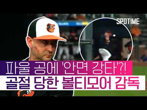 앨버나즈 감독, 광대뼈 7곳 골절… 그런데 하루 만에 복귀했다고?! #SPOTIME #MLB