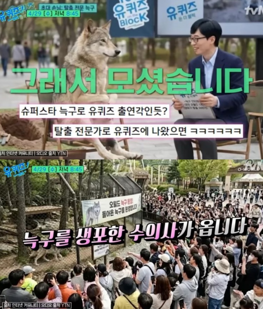 '국민 늑대' 늑구 잡은 수의사, '유퀴즈' 출연…"그래서 모셨습니다"