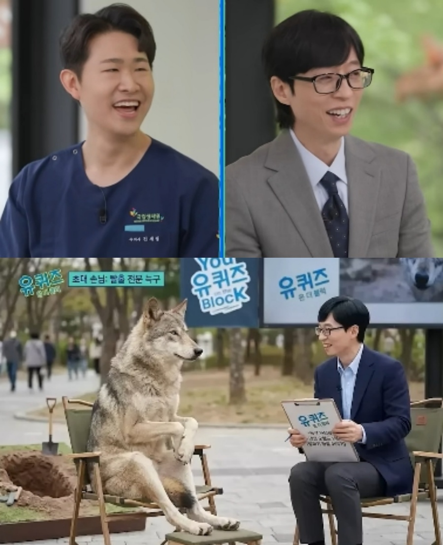 ▲ ‘늑구’를 생포한 수의사가 늑구의 탈출 이유에 대해 솔직하게 답했다. 출처|tvN ‘유 퀴즈 온 더 블럭’ 선공개 영상