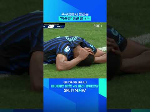 담장을 넘어가긴 함 ㅋㅋ #shorts