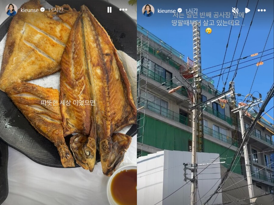 ▲  출처| 기은세 인스타그램