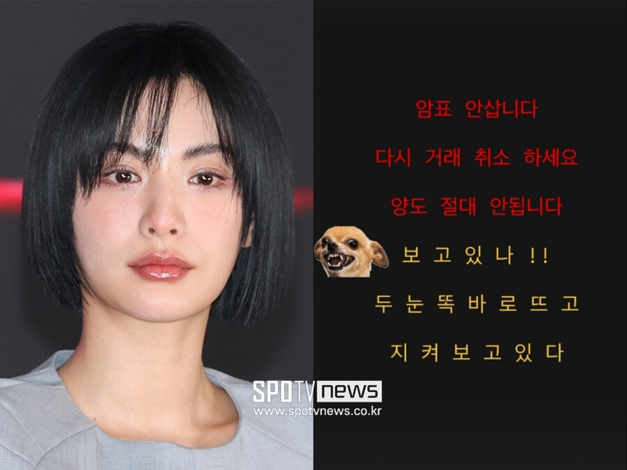 ▲  출처| ⓒ곽혜미 기자, 나나 인스타그램