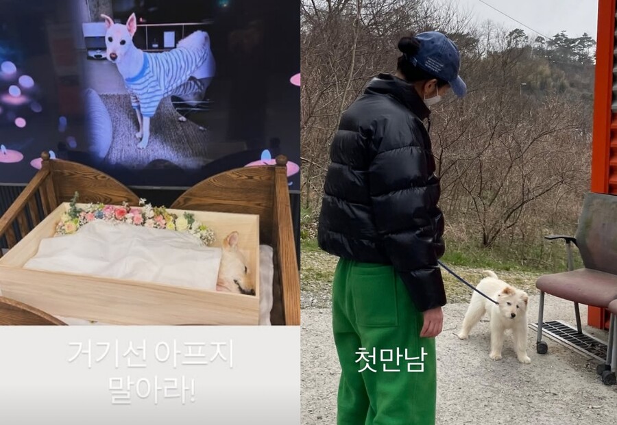 ▲ 배우 김고은의 반려견 '월이'가 무지개다리를 건넜다. 출처|김고은 인스타그램