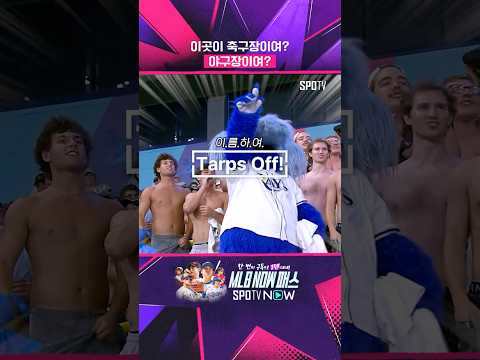 지금 MLB에서 난리 난 '단체 상의 탈의' 응원의 정체 #Shorts