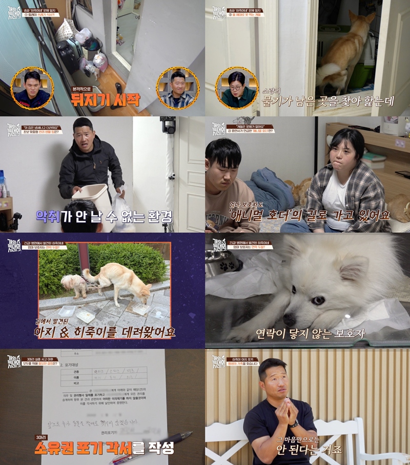 강형욱도 "애니멀 호더의 길" 우려…'개늑시' 반려견 소유권 포기각서 첫 사례