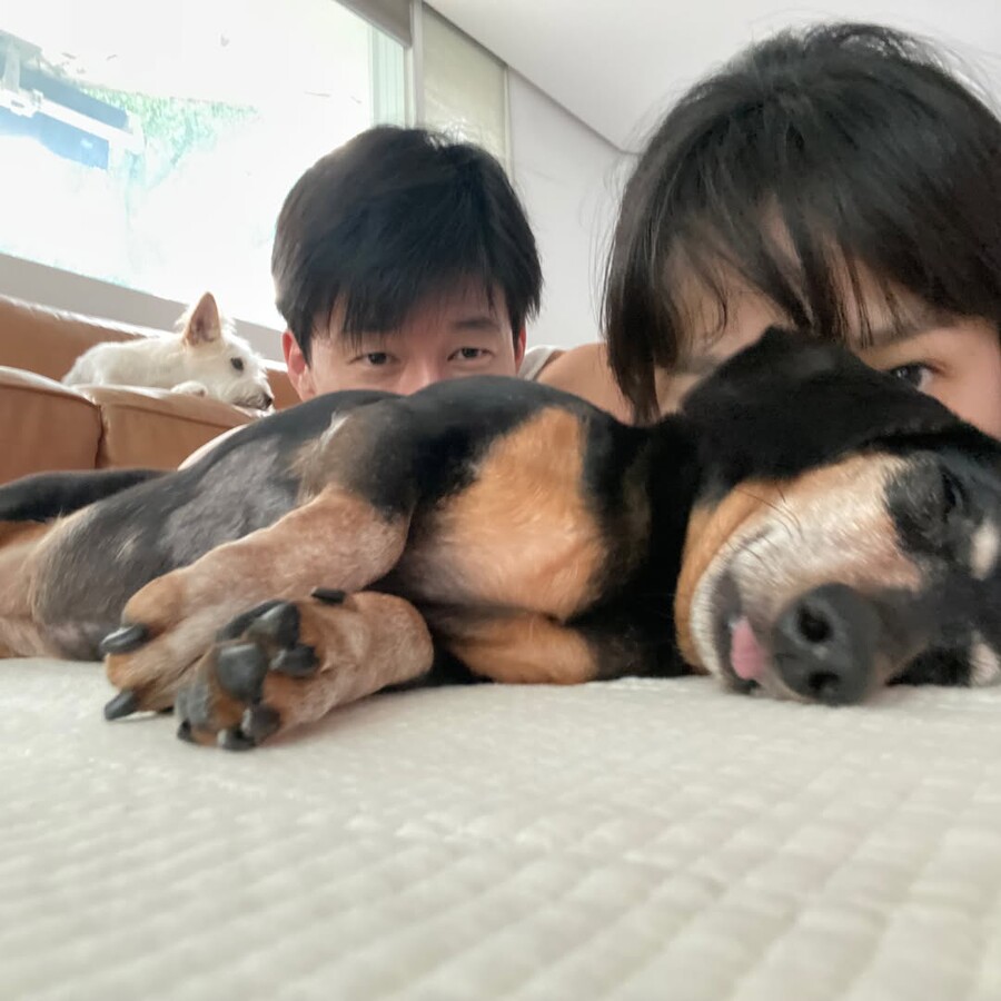 ▲ 윤승아가 17년을 함께한 반려견을 떠나보냈다. 출처|윤승아 SNS