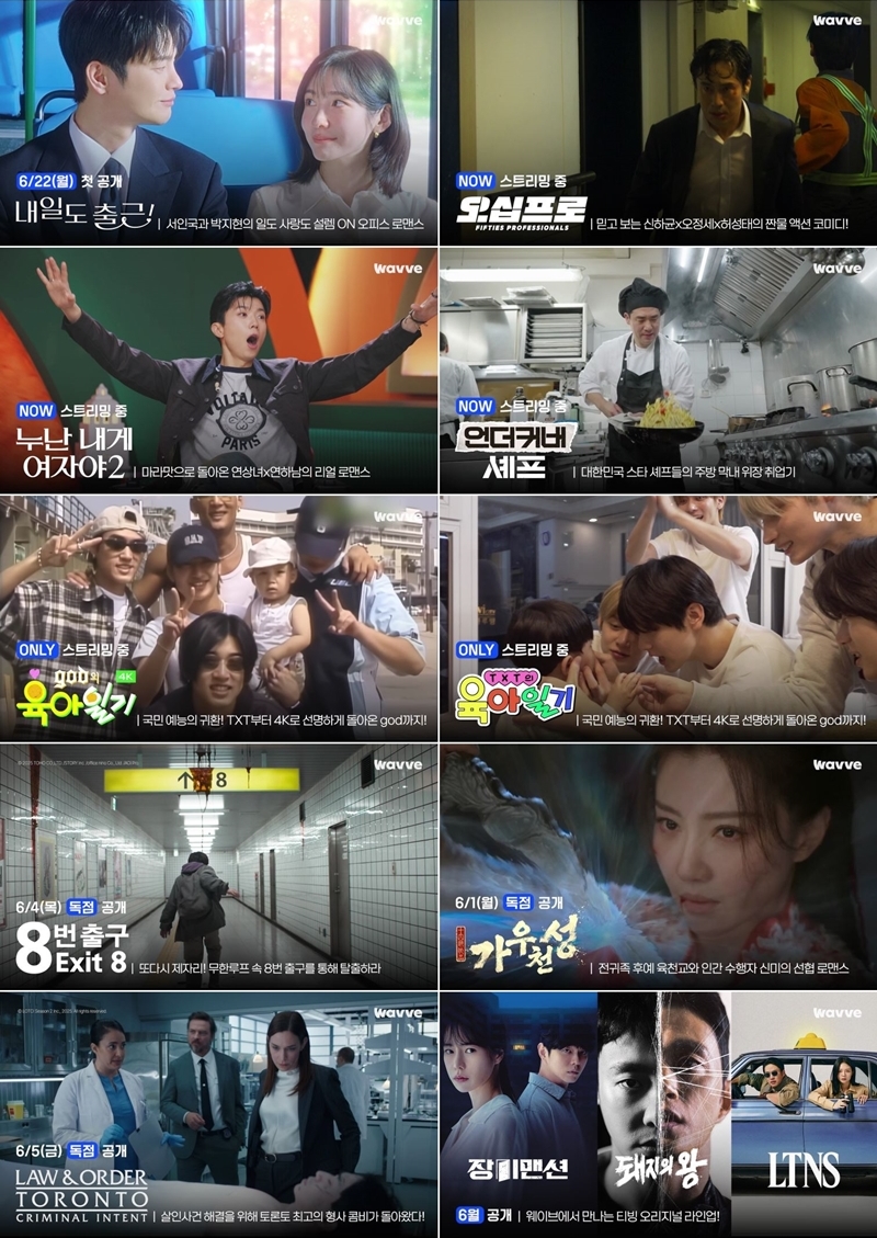 '내일도 출근'→'TXT 육아일기'→'돼지의 왕'...웨이브, 신규 라인업 공개