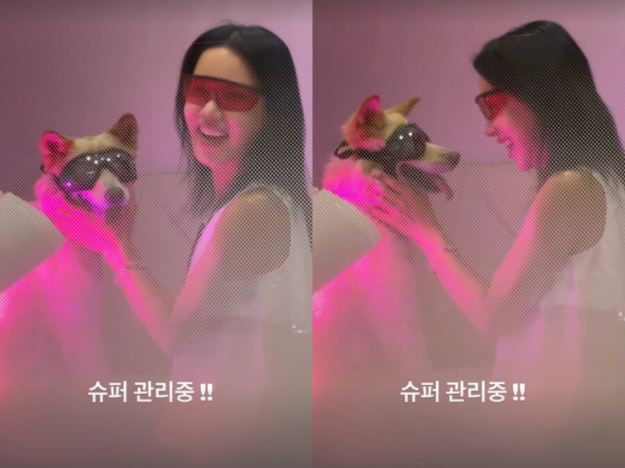 '57세' 엄정화, 반려견도 동반 시술받는 '슈스'…초특급 관리