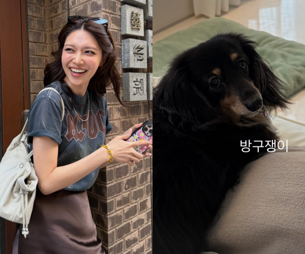 "14년 열애 마침표"…최수영·정경호, 결별 인정 속 SNS로 전한 근황