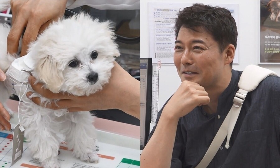 전현무, 번식장 구조견 입양했다…'무버지' 두 눈에 꿀이 뚝뚝('나혼산')