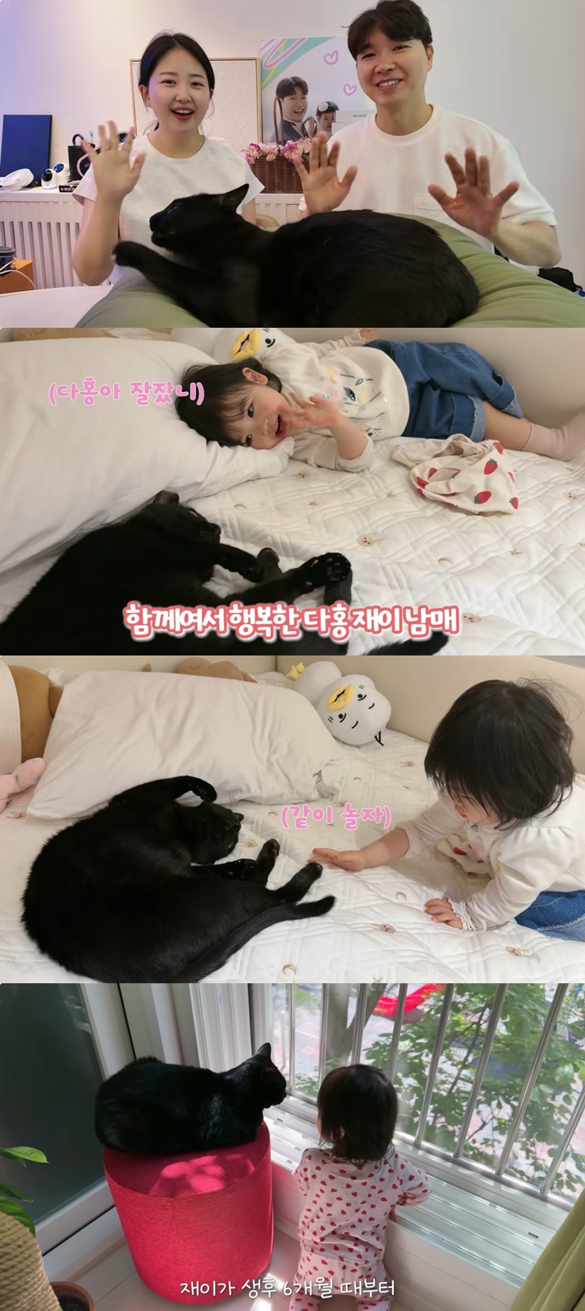 박수홍♥김다예, 반려묘 방치논란 재차 해명…"20개월 딸 가정보육→둘째는 물어봐야"