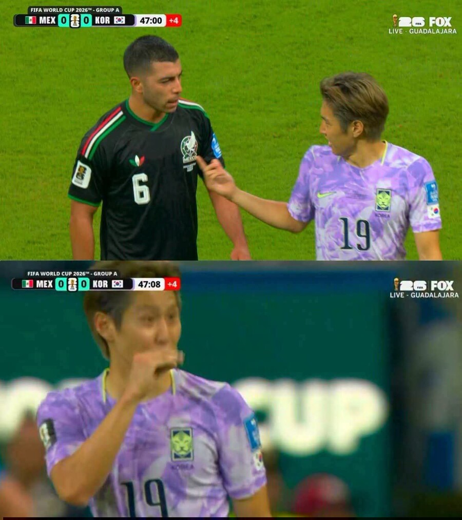 ▲  출처|  El HINCHA