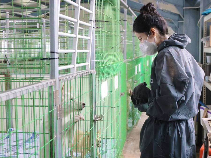 서현, 생일 맞아 선행…팬들과 유기동물보호소 봉사→간식 기부