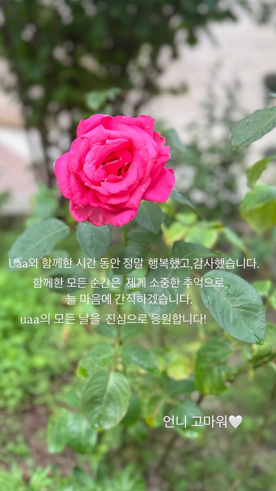▲ 송혜교 메시지. 출처ㅣ송혜교 인스타그램