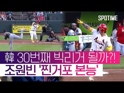 3G 연속 홈런·OPS 1.198! '태극 두건' 조원빈의 '찐거포 본능' #SPOTIME #MLB