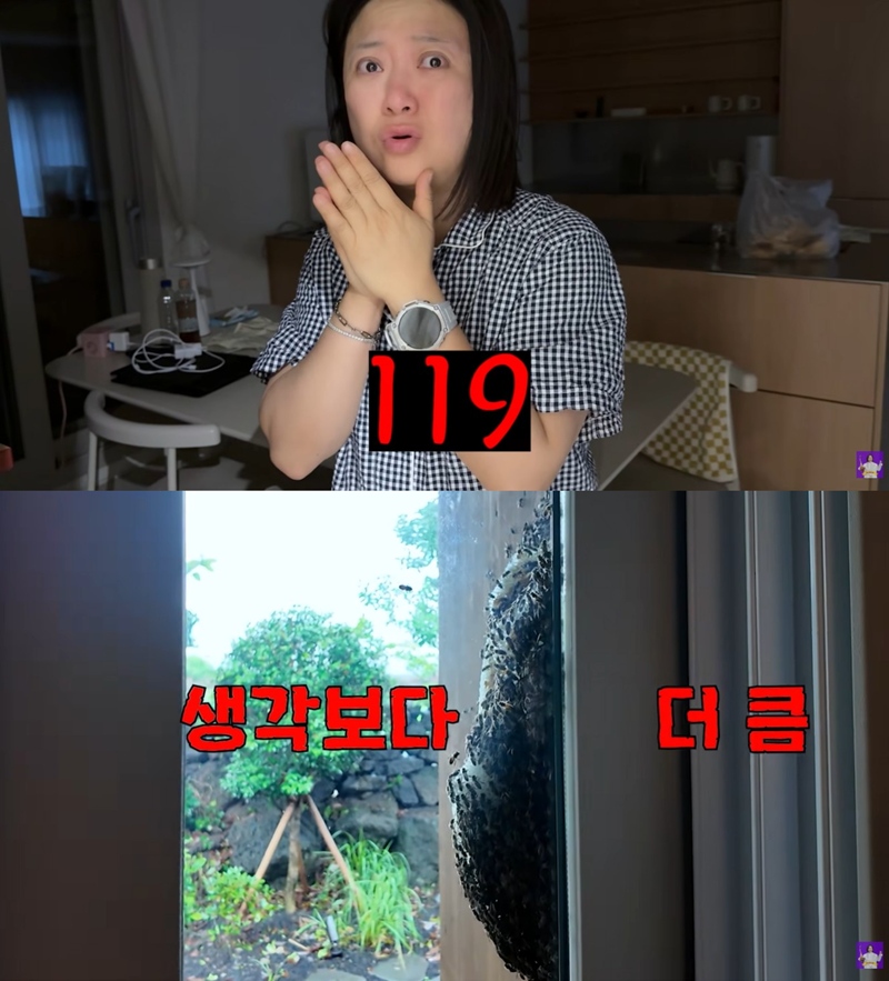 '국가유산 해제' 김숙 제주집, 벌떼 습격에 '경악'…119 출동