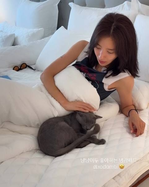 손담비, 반려묘 파양설 일축…"제가 버렸겠느냐" 루머 정면돌파