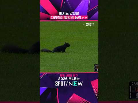 오늘 자, MLB 역대급 난입객 ㅋㅋ #shorts #MLB