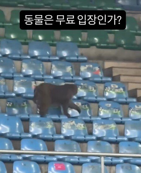 ▲ 출처 강민혁 SNS