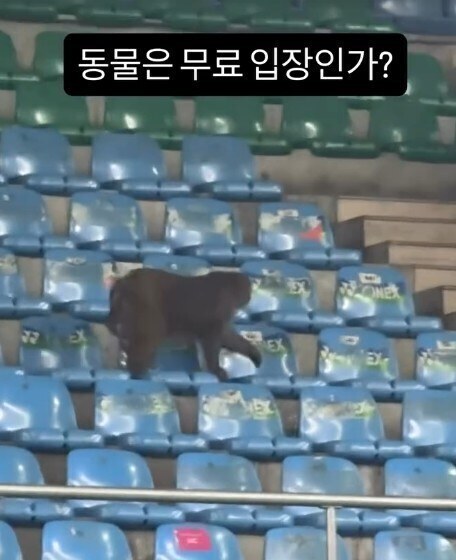 ▲ 출처 강민혁 SNS