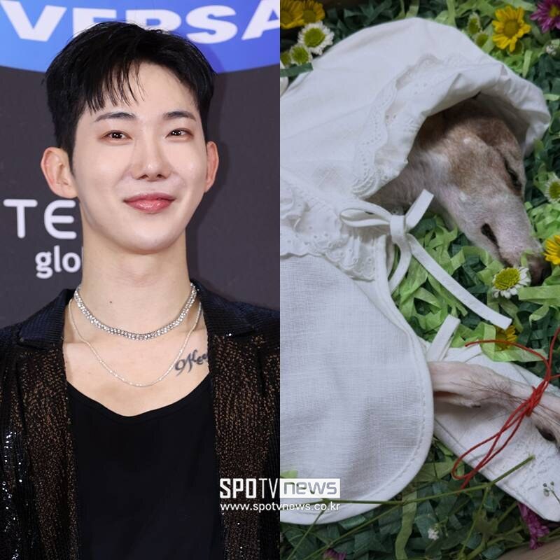 조권, 14년 함께한 반려견 떠나보냈다 "더 안아줄걸…공허하고 그리워"