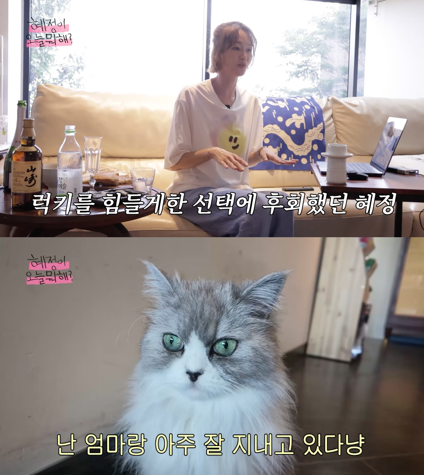 '이희준♥' 이혜정, 반려묘 파양 의혹 해명 "10년째 악플, 내 잘못 있어"