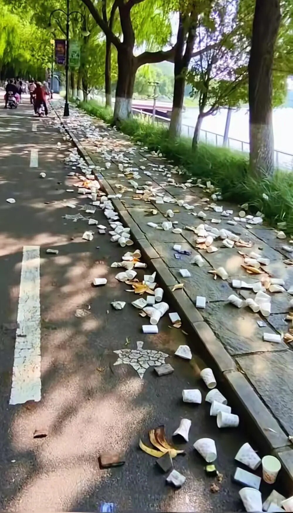 ▲ 도로 위는 물론 강변 녹지대와 나무 주변까지 컵이 빼곡하게 쌓이면서 현지에서는 마라톤 대회의 급수 방식과 환경 문제를 둘러싼 논란이 번졌다. ⓒ 중국 소후