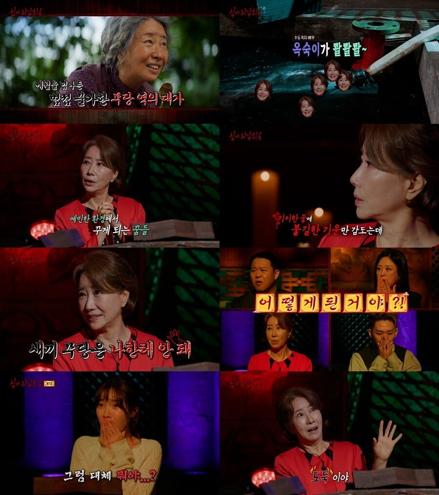 송옥숙, 충격 경험담 "꿈에 나타난 지인, 얼마 뒤 세상 떠나"('심야괴담회')