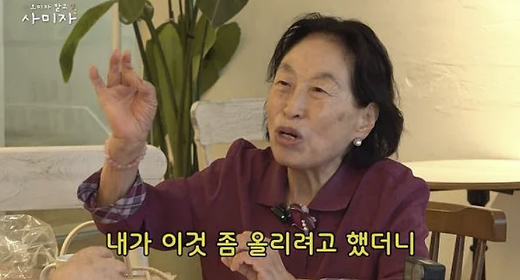 '출연료 인상 논란' 전원주, 새 제작진과 유튜브 재개 조율 중