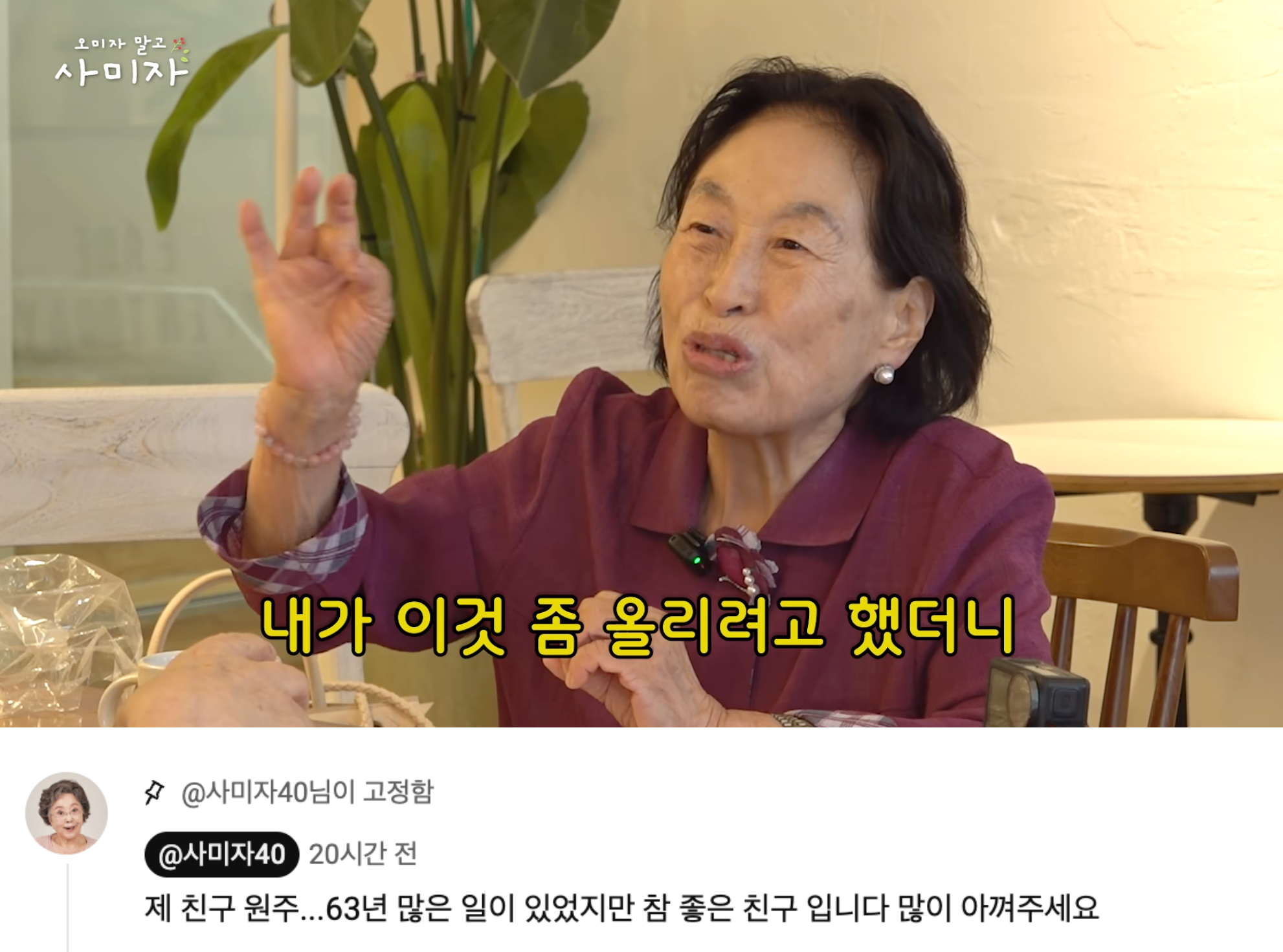 사미자, '출연료 갈등 논란' 전원주 감쌌다…"참 좋은 친구, 아껴달라"