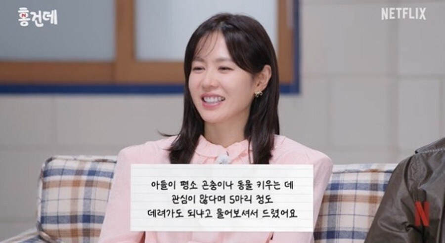 손예진, 4살 子 위해 누에까지 키웠다 "5마리 데려갔는데 나방 됐다"