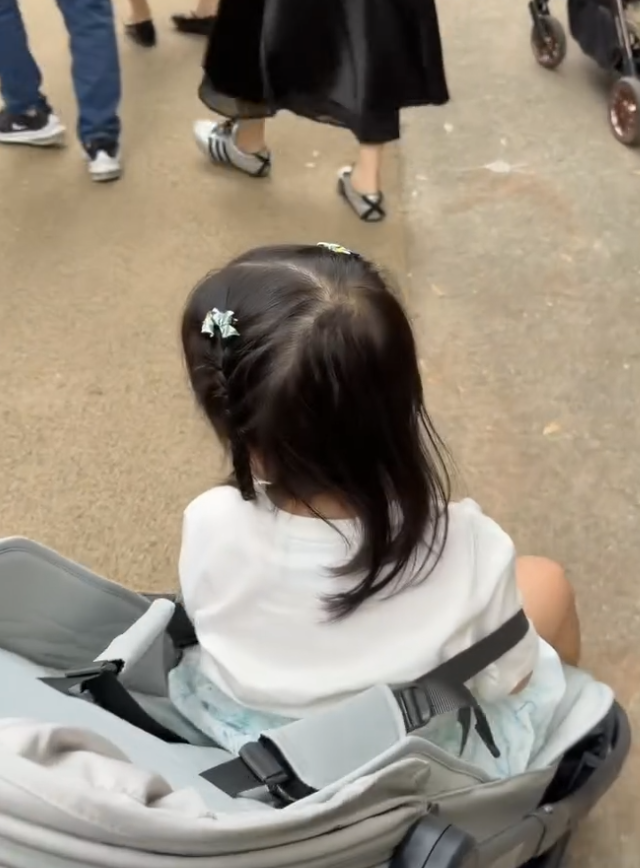 이병헌♥이민정 늦둥이 3세 딸 서이, 동물원서 연예인 2세 끼 대폭발