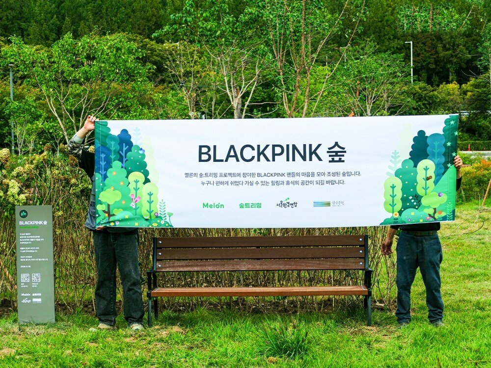 '블랙핑크 숲→빅뱅 숲' 생겼다…멜론, K팝 팬들과 친환경 프로젝트 앞장