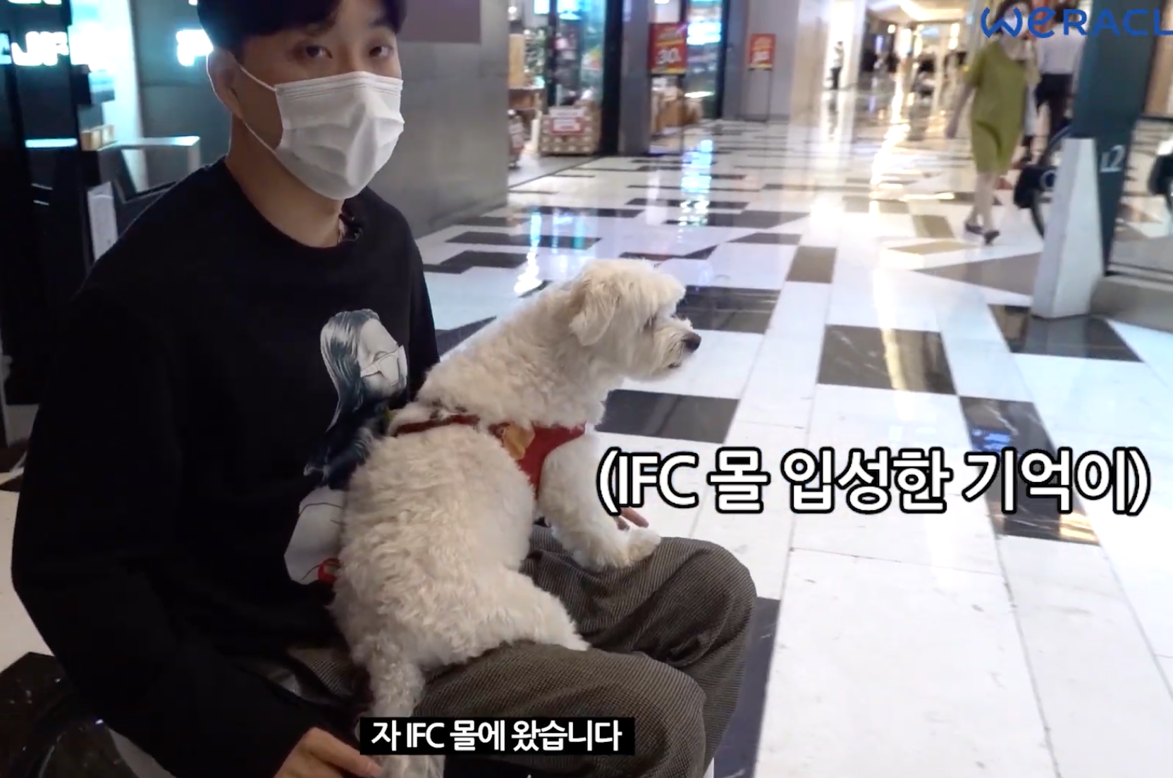 ▲ 출처ㅣ유튜브 채널 '위라클'