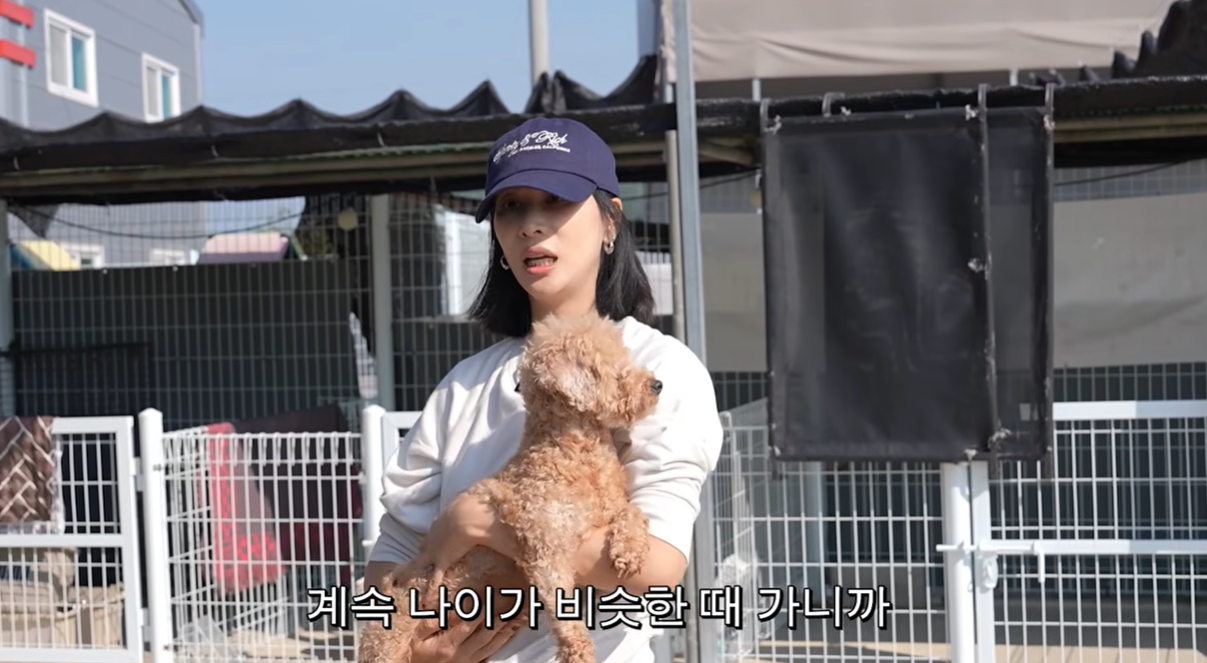 '장동건♥' 고소영 "키우던 강아지 줄초상에 가슴 아파...한동안 못 키웠다"